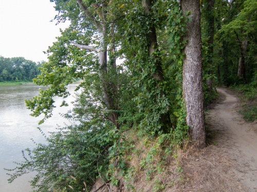 Lawrence River Trails