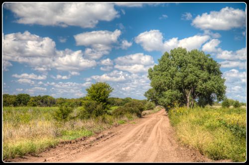 One Summer Day in Kansas