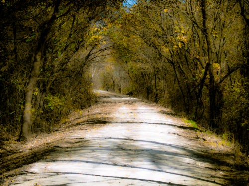 Meadowlark Trail Ride