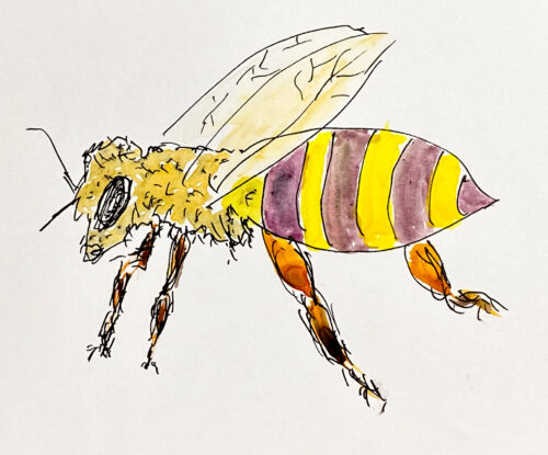 Inktober Day 15 - Honeybee